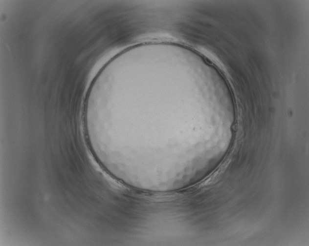 X0000073481440200608211614