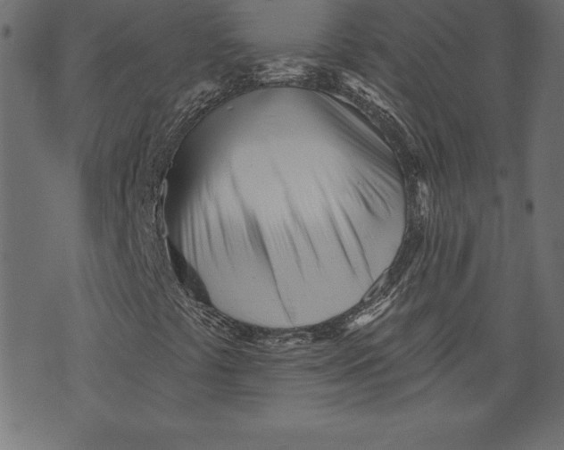 X0000073481441200608211613