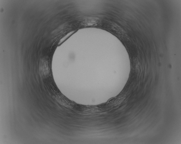 X0000073481442200608211613