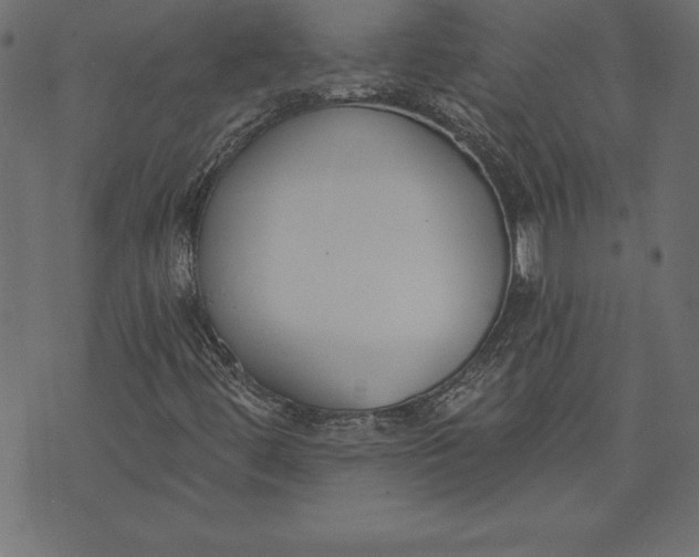 X0000073481444200608211613