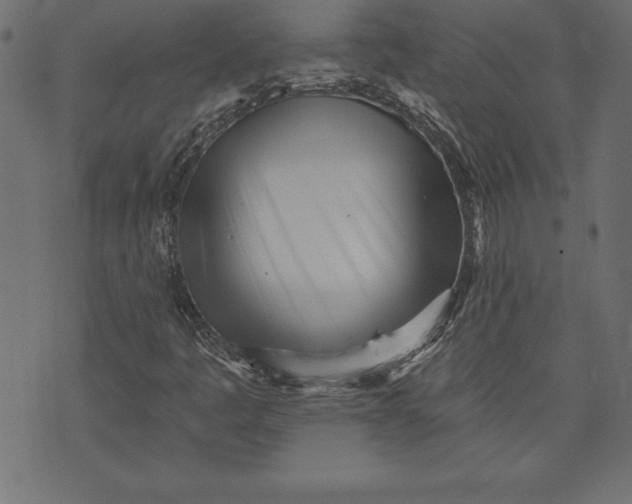 X0000073481445200608211613