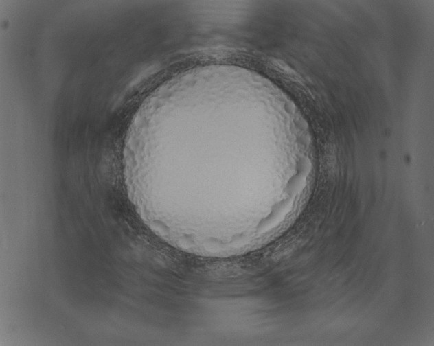 X0000073481446200608211613