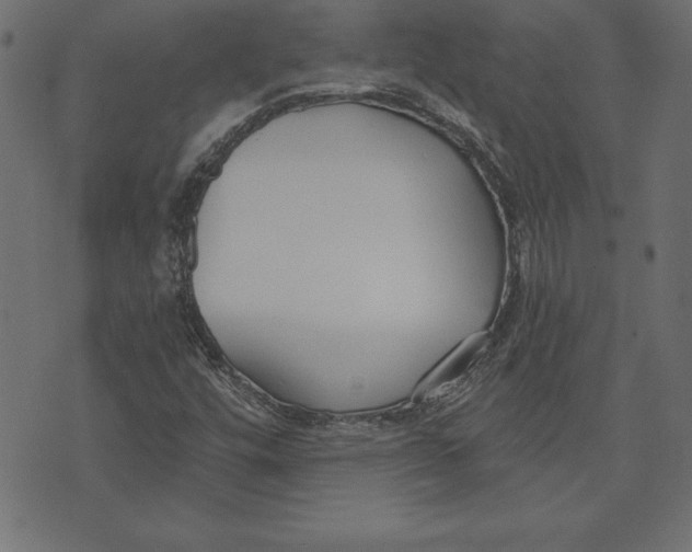 X0000073481448200608211613