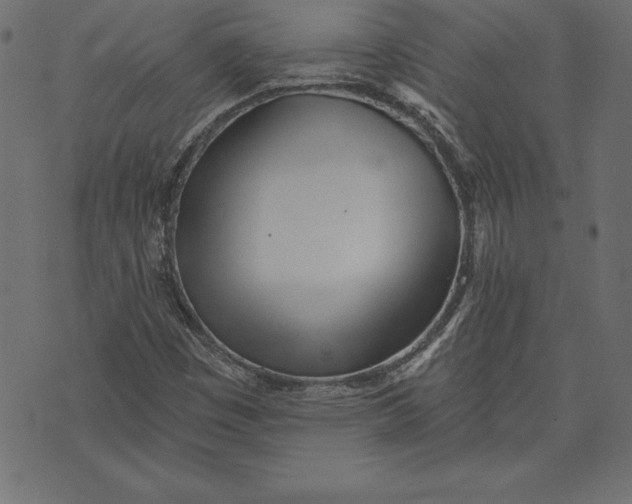 X0000073481449200608211613