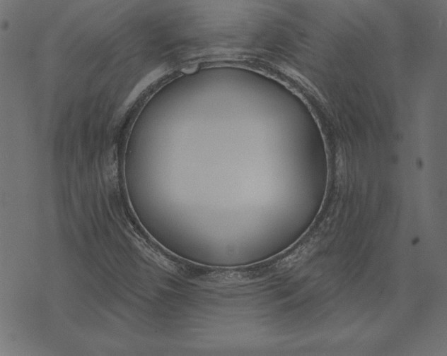 X0000073481450200608211613