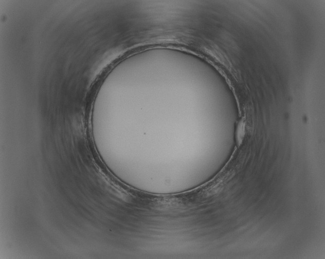 X0000073481452200608211613