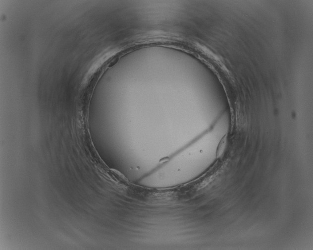 X0000073481453200608211613