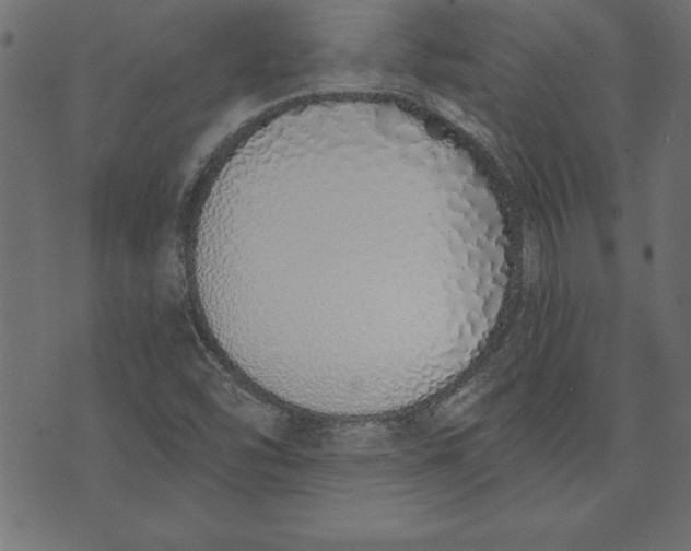 X0000073481454200608211613