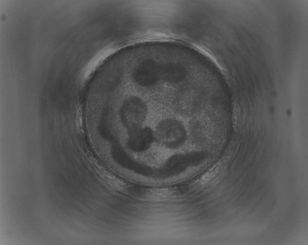 X0000073481455200608211613