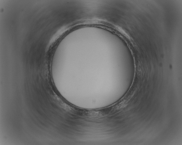 X0000073481456200608211613