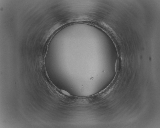 X0000073481457200608211613