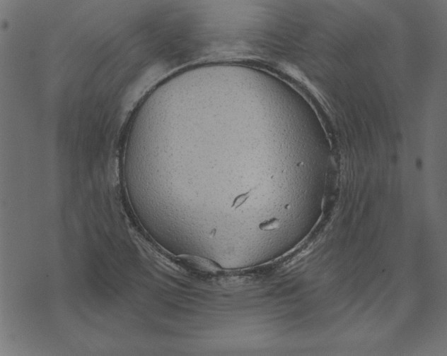 X0000073481459200608211613