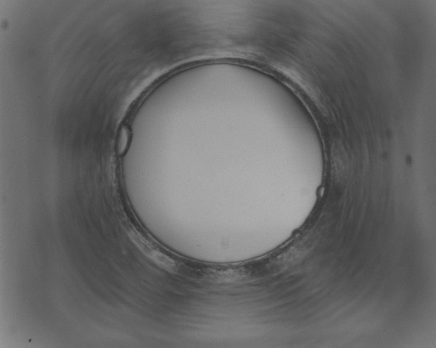 X0000073481460200608211613