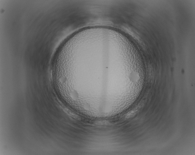 X0000073481462200608211613