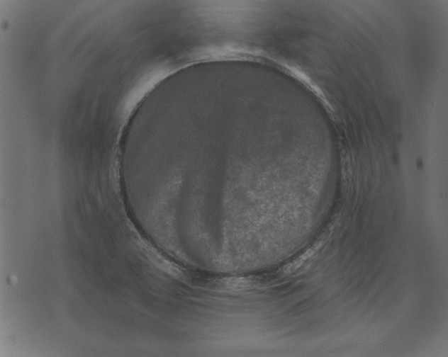 X0000073481463200608211613