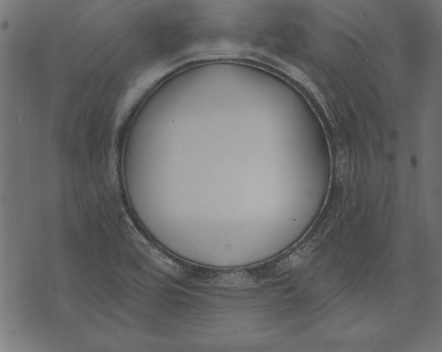 X0000073481464200608211613