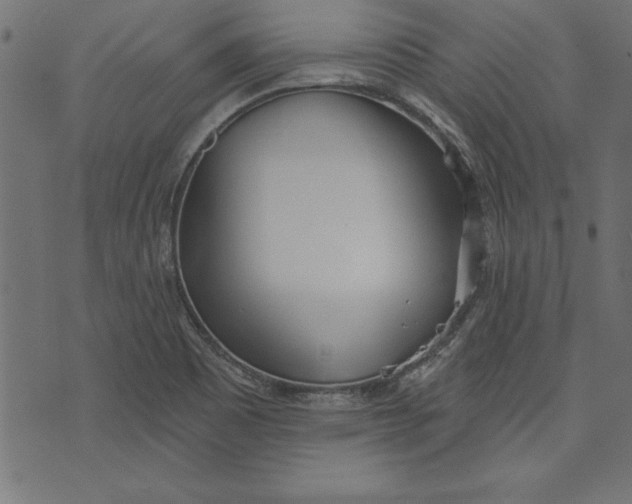 X0000073481465200608211612