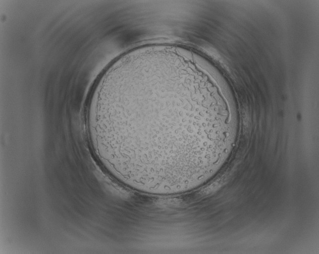 X0000073481466200608211612