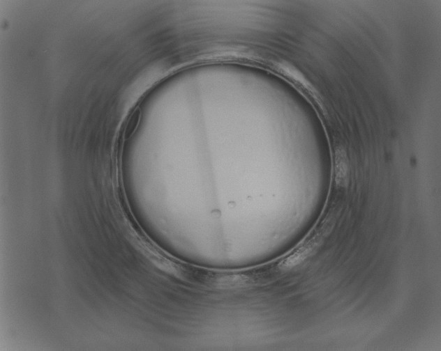 X0000073481467200608211612