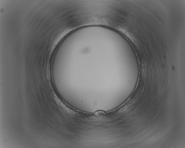 X0000073481468200608211612