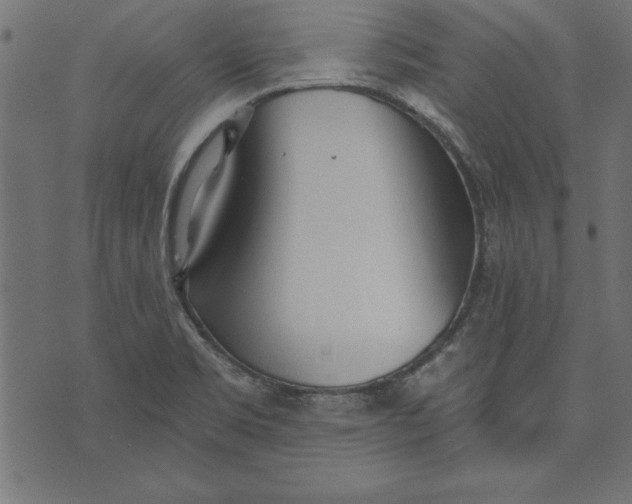 X0000073481469200608211612