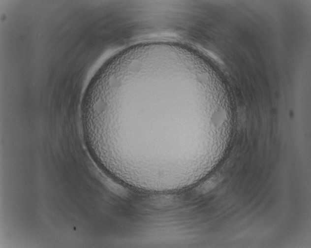 X0000073481470200608211612