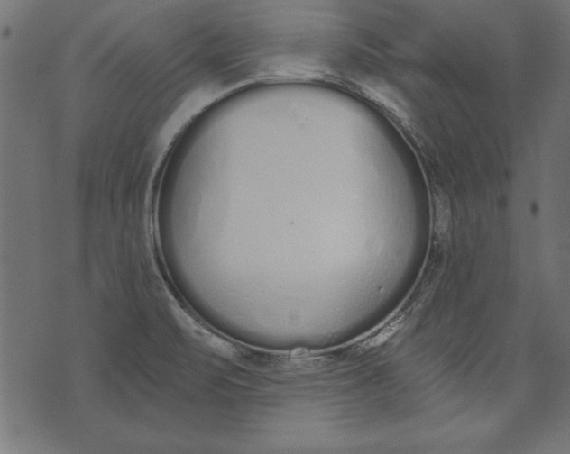 X0000073481471200608211612