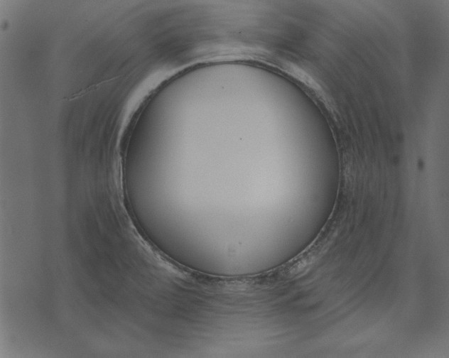 X0000073481472200608211612