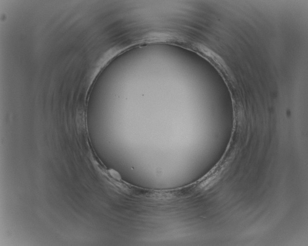 X0000073481473200608211612