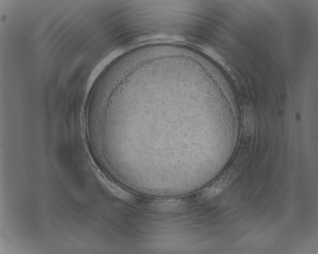 X0000073481474200608211612