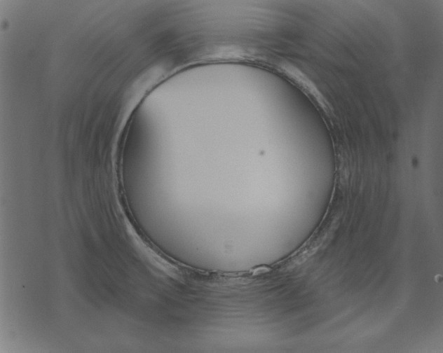 X0000073481475200608211612