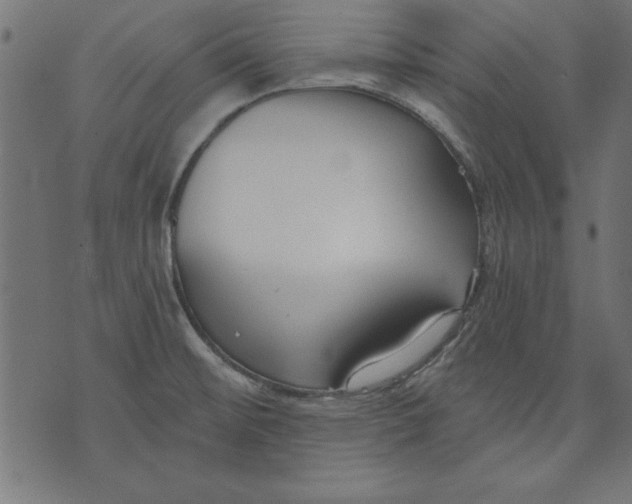 X0000073481476200608211612