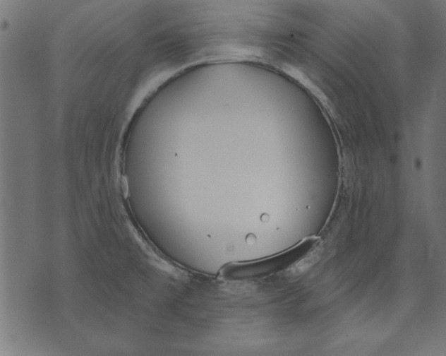 X0000073481477200608211612