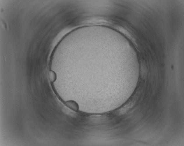 X0000073481478200608211612