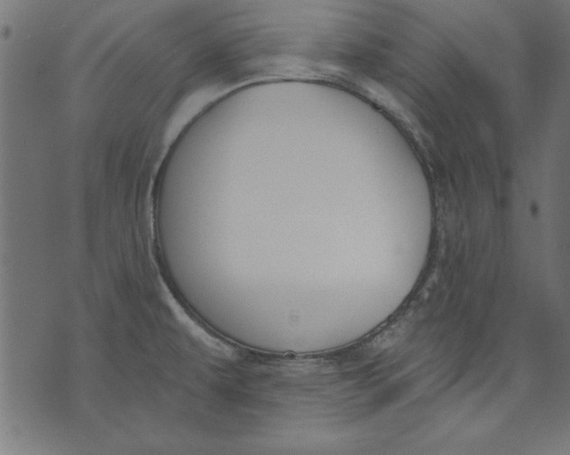 X0000073481479200608211612