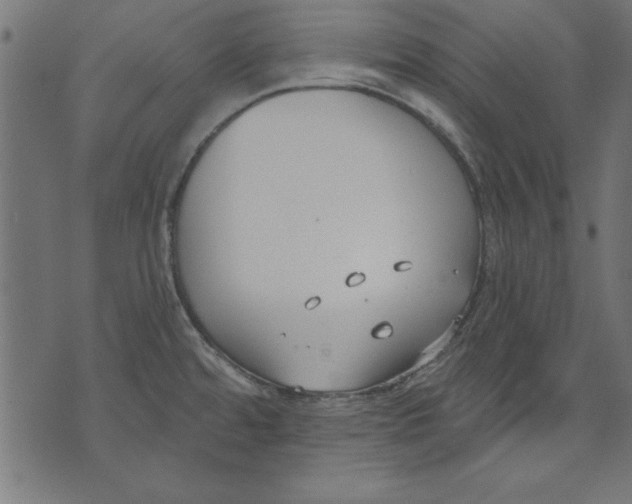 X0000073481480200608211612