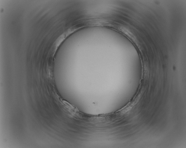 X0000073481481200608211612