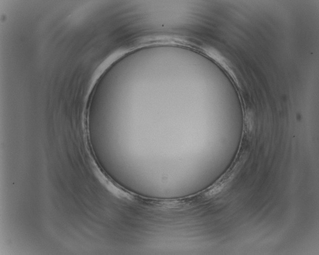 X0000073481482200608211612