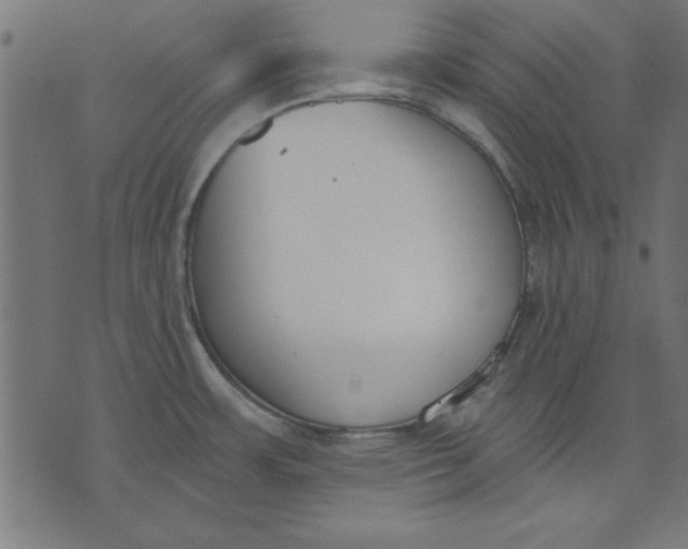 X0000073481483200608211612