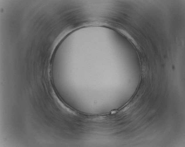 X0000073481484200608211612