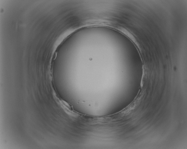 X0000073481485200608211612