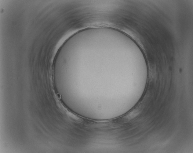 X0000073481486200608211612