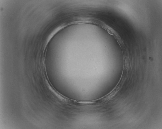 X0000073481487200608211612