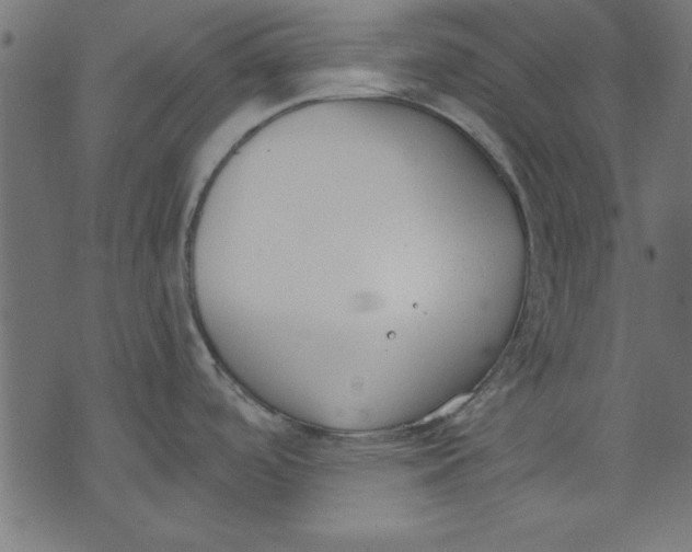 X0000073481488200608211612