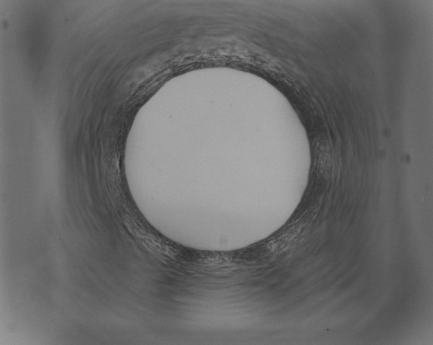 X0000073481489200608211611