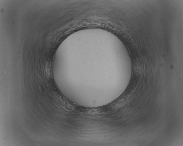 X0000073481490200608211611