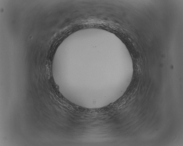 X0000073481493200608211611