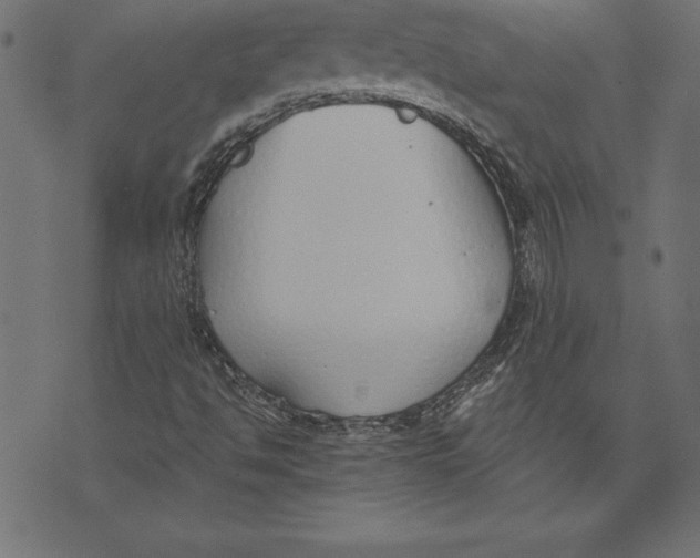 X0000073481494200608211611