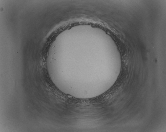 X0000073481495200608211611