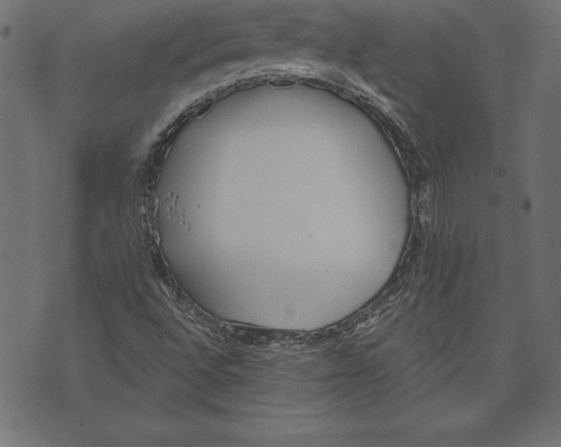 X0000073481496200608211611